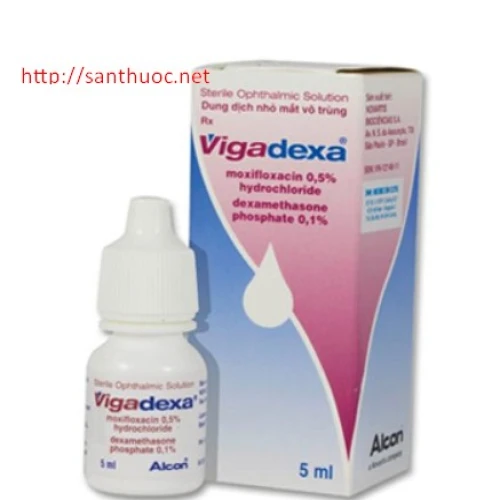 Vigadexa 5/1 - Thuốc điều trị nhiễm khuẩn mắt hiệu quả