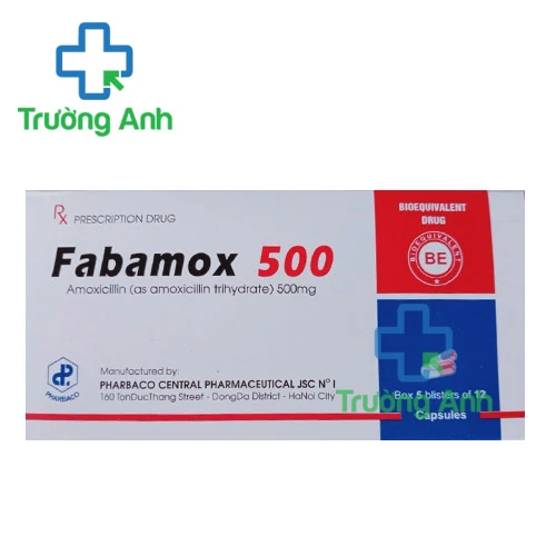 Fabamox 500 - Thuốc điều trị bệnh nhiễm khuẩn của Pharbaco