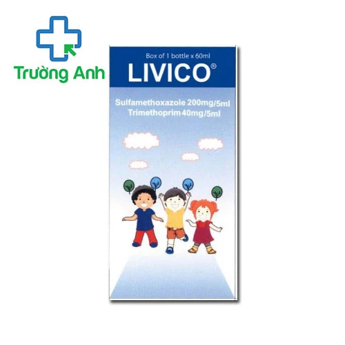 Livico Hataphar - Thuốc điều trị nhiễm khuẩn hiệu quả