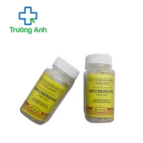 Becberzine Đại Uy - Hỗ trợ điều trị bệnh tiêu chảy