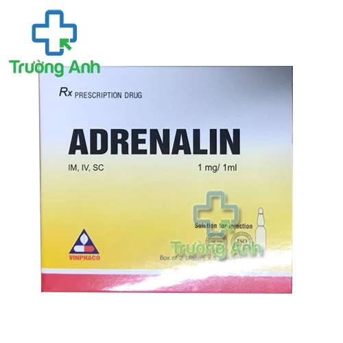 Adrenalin 1mg/10ml Vinphaco - Thuốc trị hen phế quản hiệu quả
