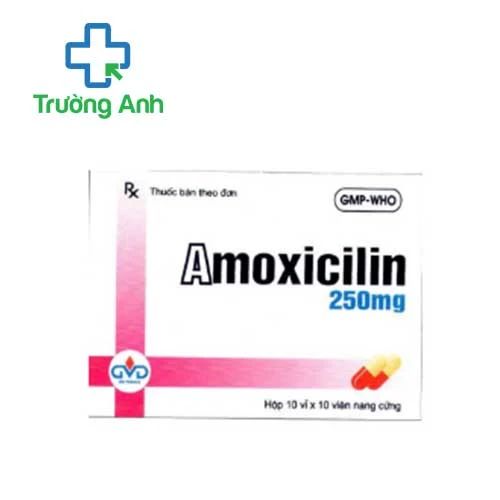 Amoxicilin 250mg MD Pharco (viên) - Thuốc trị nhiễm khuẩn vừa