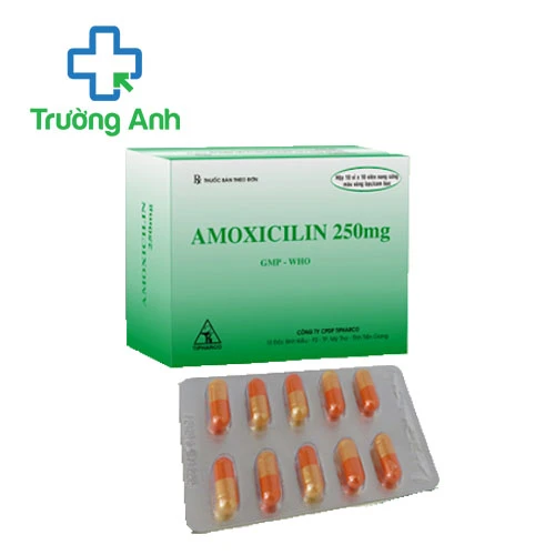 Amoxicilin 250mg Tipharco (viên) - Thuốc trị nhiễm khuẩn