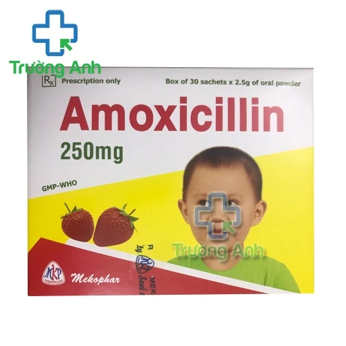 Amoxicillin 250mg MKP (bột) - Thuốc điều trị nhiễm khuẩn hiệu quả