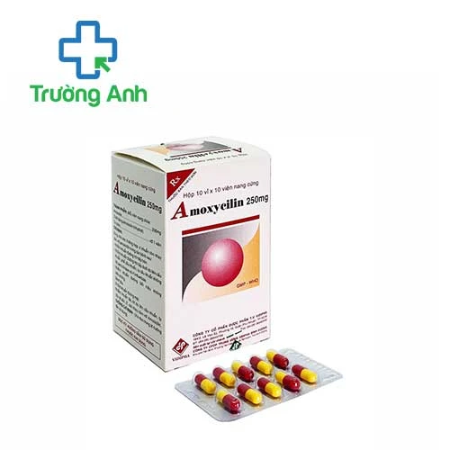 Amoxycilin 250mg Vidipha - Thuốc điều trị nhiễm khuẩn hiệu quả