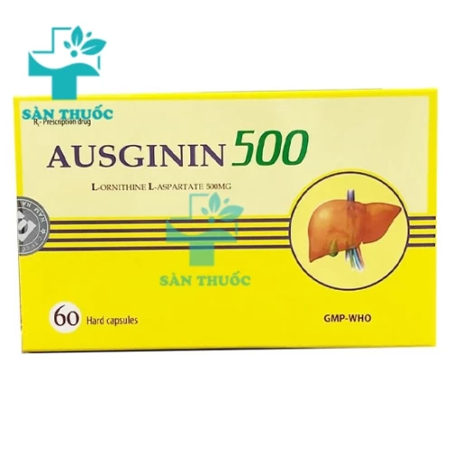 Ausginin 500mg Nam Hà Pharma