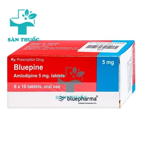 Bluepine 5mg Bluepharma - Thuốc điều trị tăng huyết áp hiệu quả
