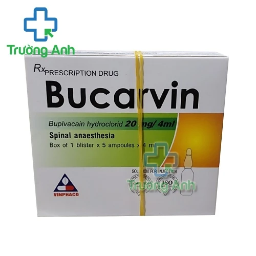 Bucarvin - Thuốc gây tê hiệu quả của VINPHACO