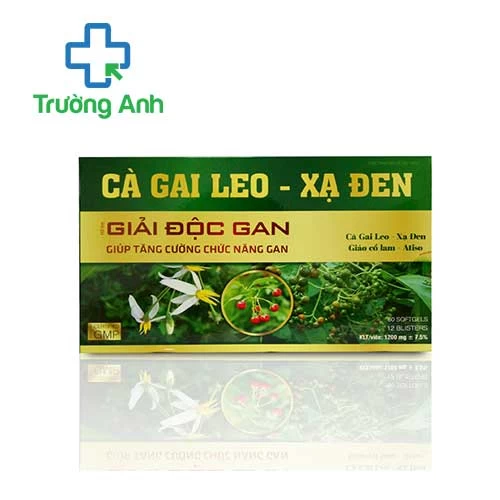 Cà gai leo Xạ Đen - Giúp hỗ trợ tăng cường chức năng gan