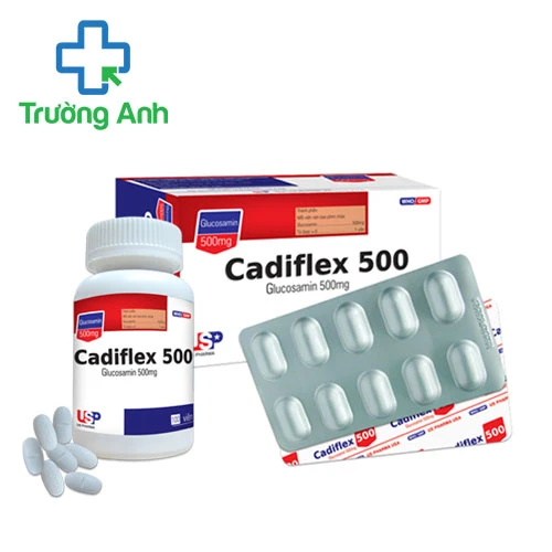 Cadiflex 500 USP (lọ) - Thuốc làm giảm đau xương khớp hiệu quả