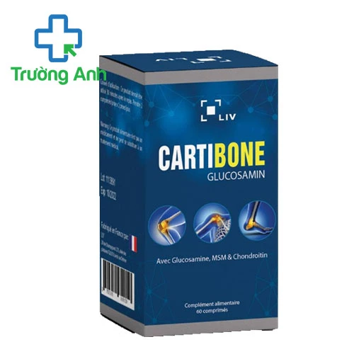 Cartibone (Glucosamin) - Giúp tăng cường chức năng xương khớp