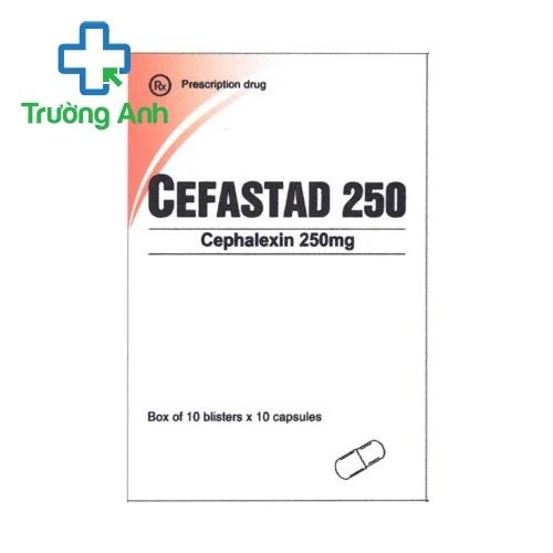 Cefastad 250 Pymepharco - Thuốc kháng sinh trị nhiễm khuẩn
