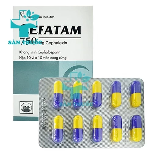 Cefatam 750mg - Thuốc trị bệnh nhiễm khuẩn của Pymepharco