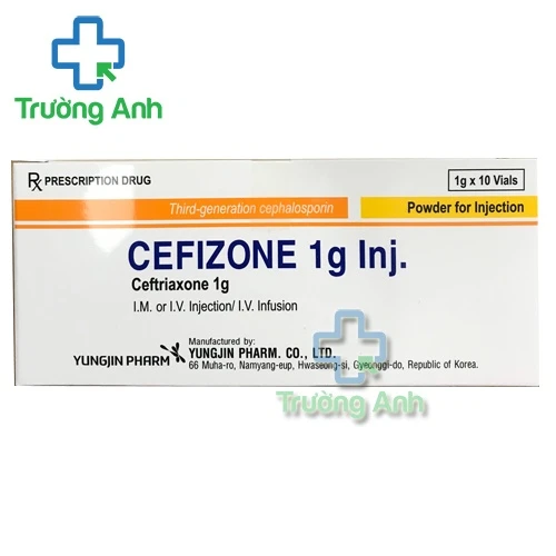 Cefizone 1g Inj - Thuốc điều trị nhiễm khuẩn hiệu quả của Hàn Quốc