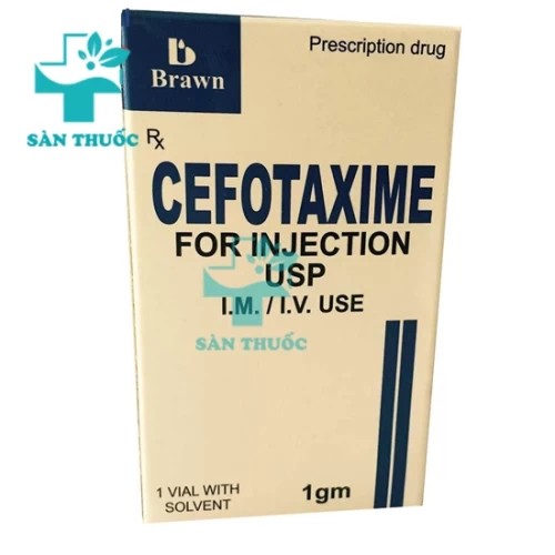 Cefotaxim 1g INDIA - Thuốc điều trị nhiễm khuẩn hiệu quả