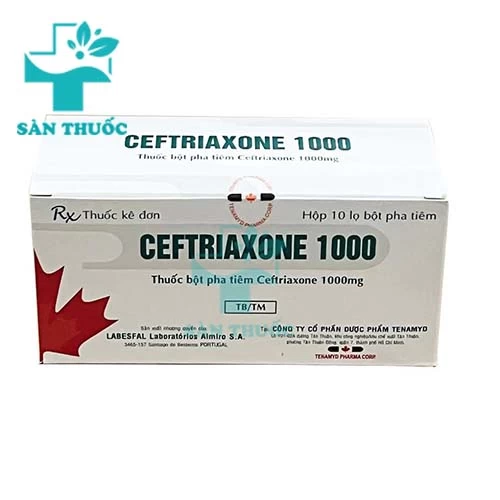Ceftriaxone 1000 Tenamyd - Thuốc điều trị nhiễm khuẩn