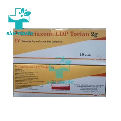 Ceftriaxone LDP Torlan 2g
