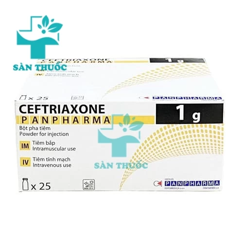 Ceftriaxone 1g - Thuốc điều trị bệnh nhiễm khuẩn nặng của Panpharma