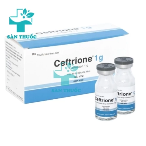 Ceftrione 1g - Thuốc điều trị nhiễm khuẩn của Bidiphar