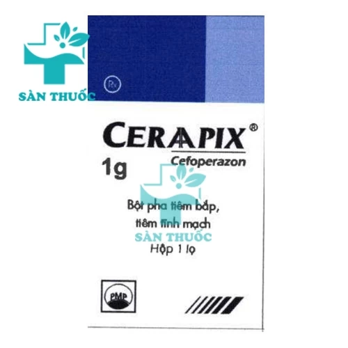 CERAAPIX 1g - Thuốc điều trị nhiễm khuẩn hiệu quả của Pymepharco