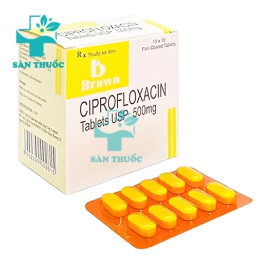 Ciprofloxacin 500mg Brawn - Thuốc điều trị bệnh nhiễm khuẩn