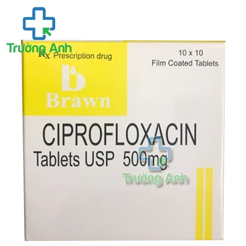 Ciprofloxacin 500mg Brawn - Thuốc điều trị bệnh nhiễm khuẩn
