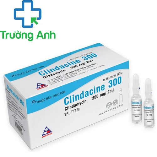 Clindacine 300 - Thuốc điều trị nhiễm trùng của VINPHACO