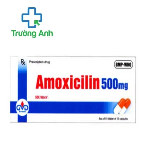 Amoxicilin 500mg MD Pharco - Thuốc điều trị nhiễm khuẩn