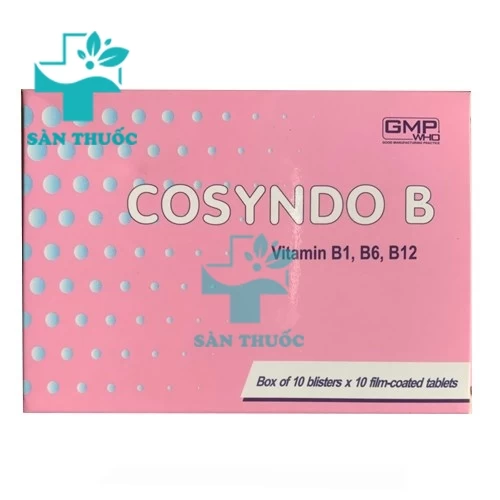 Cosyndo B Armephaco - Thuốc bổ sung vitamin nhóm B của ARMEPHACO