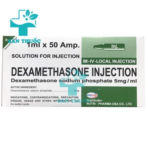 Dexamethasone injection 5mg/ml Vidipha - Thuốc chống sốc hiệu quả