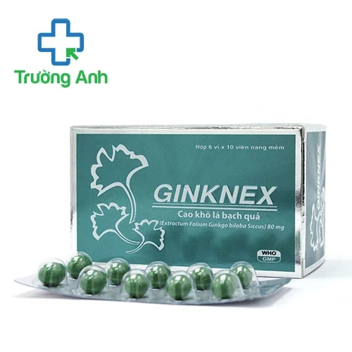 Ginknex 80mg Medisun - Giúp hỗ trợ tăng cường tuần hoàn máu não
