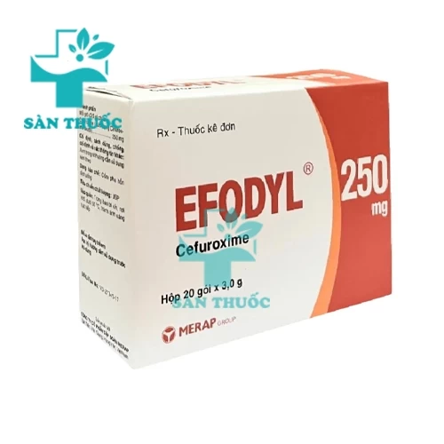Efodyl 250mg Merap (cốm)