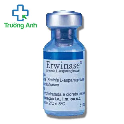 Erwinase 10000IU Porton - Thuốc trị ung thư bạch cầu của Anh