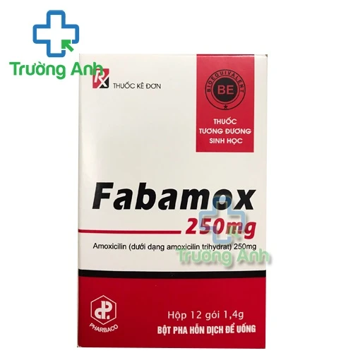 Fabamox 250mg (bột) - Thuốc điều trị nhiễm khuẩn của Pharbaco