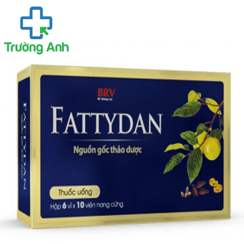 Fattydan - Thuốc điều trị tăng Cholesterol trong máu hiệu quả