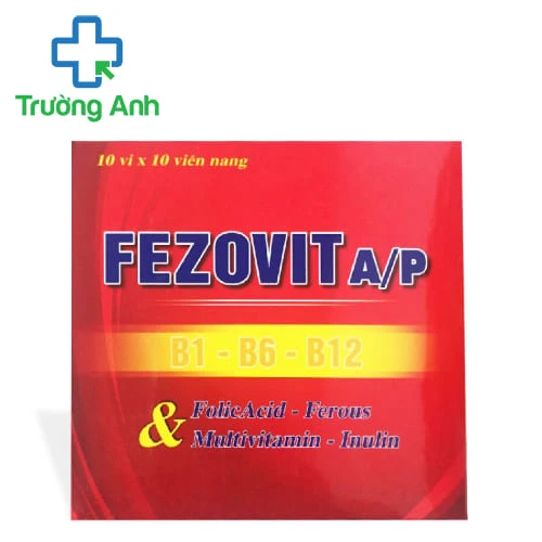 Fezovit A/P HD - Giúp bổ sung sắt, acid folic và các vitamin nhóm B