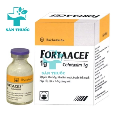 FORTAACEF 2g - Thuốc điều trị bệnh nhiễm khuẩn của Pymepharco