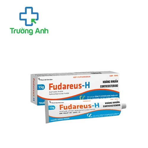 Fudareus-H 15g VCP - Thuốc điều trị bệnh chàm hiệu quả