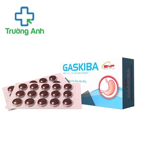 Gaskiba Baniphar - Hỗ trợ điều trị đau dạ dày