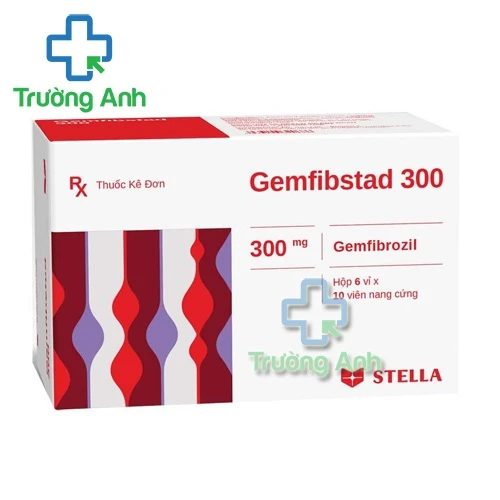 Gemfibstad 300mg - Thuốc giúp giảm mỡ máu hiệu quả