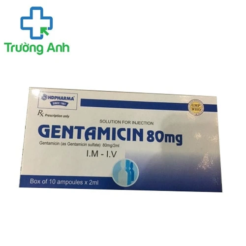 Gentamicin 80mg HD Pharma - Thuốc kháng sinh trị nhiễm khuẩn