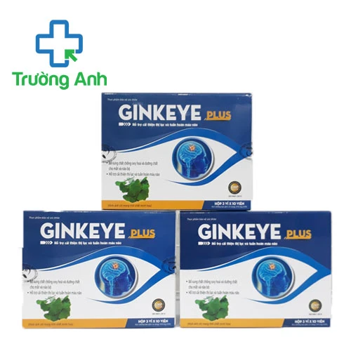Ginkeye Plus - Giúp tăng cường tuần hoàn máu và thị lực hiệu quả