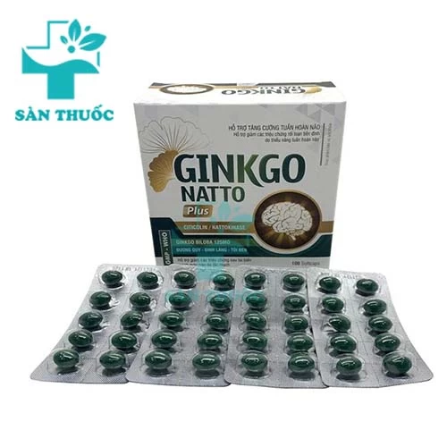 Ginkgo Natto Plus Vinaphar - Giúp hoạt huyết, tăng cường máu não