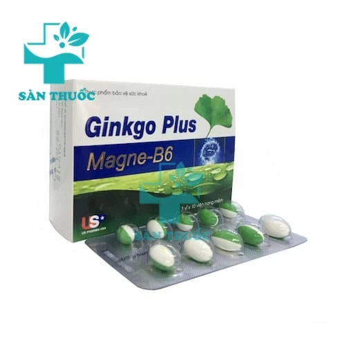 GINKGO PLUS MAGNE -B6 USP - Giúp cải thiện tuần hoàn máu não 