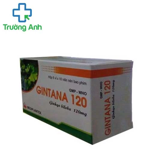 Gintana 120mg - Thuốc điều trị tai biến mạch máu não hiệu quả