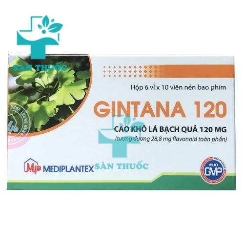 Gintana 120mg - Thuốc điều trị tai biến mạch máu não hiệu quả