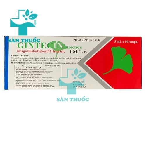 Gintecin Injection 17,5mg/5ml - Thuốc trị rối loạn tuần hoàn máu não của Đài Loan