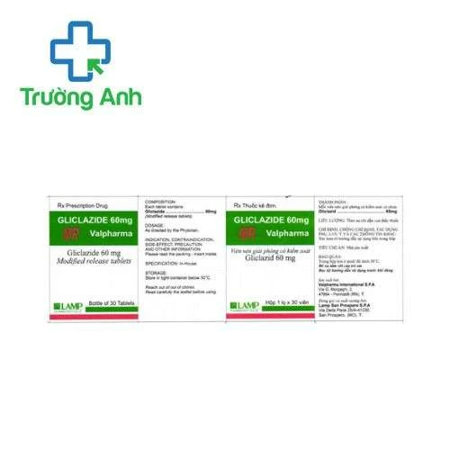 Gliclazide 60mg MR Valpharma - Điều trị đái tháo đường không phụ thuốc insulin typ 2