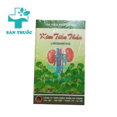 Kim tiền thảo Bài Thạch Hà Thành - Hỗ trợ điều trị sỏi thận