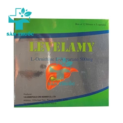 Levelamy 500mg - Thuốc điều trị các bệnh lý về gan của Armephaco